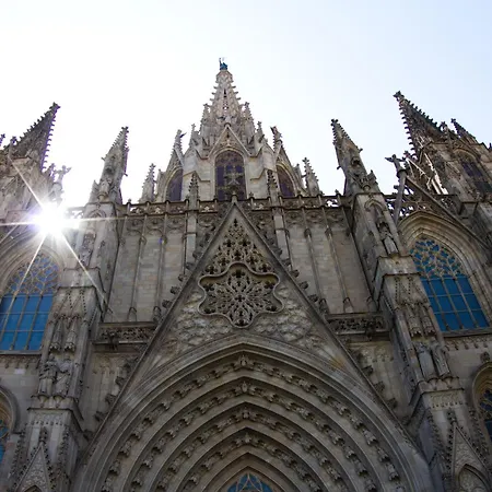Habitat Cathedral *